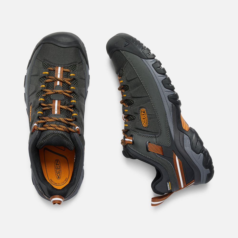 Chaussure de Randonnée Keen Homme Noir/Doré | Targhee Exp Waterproof | GHDOE-9378